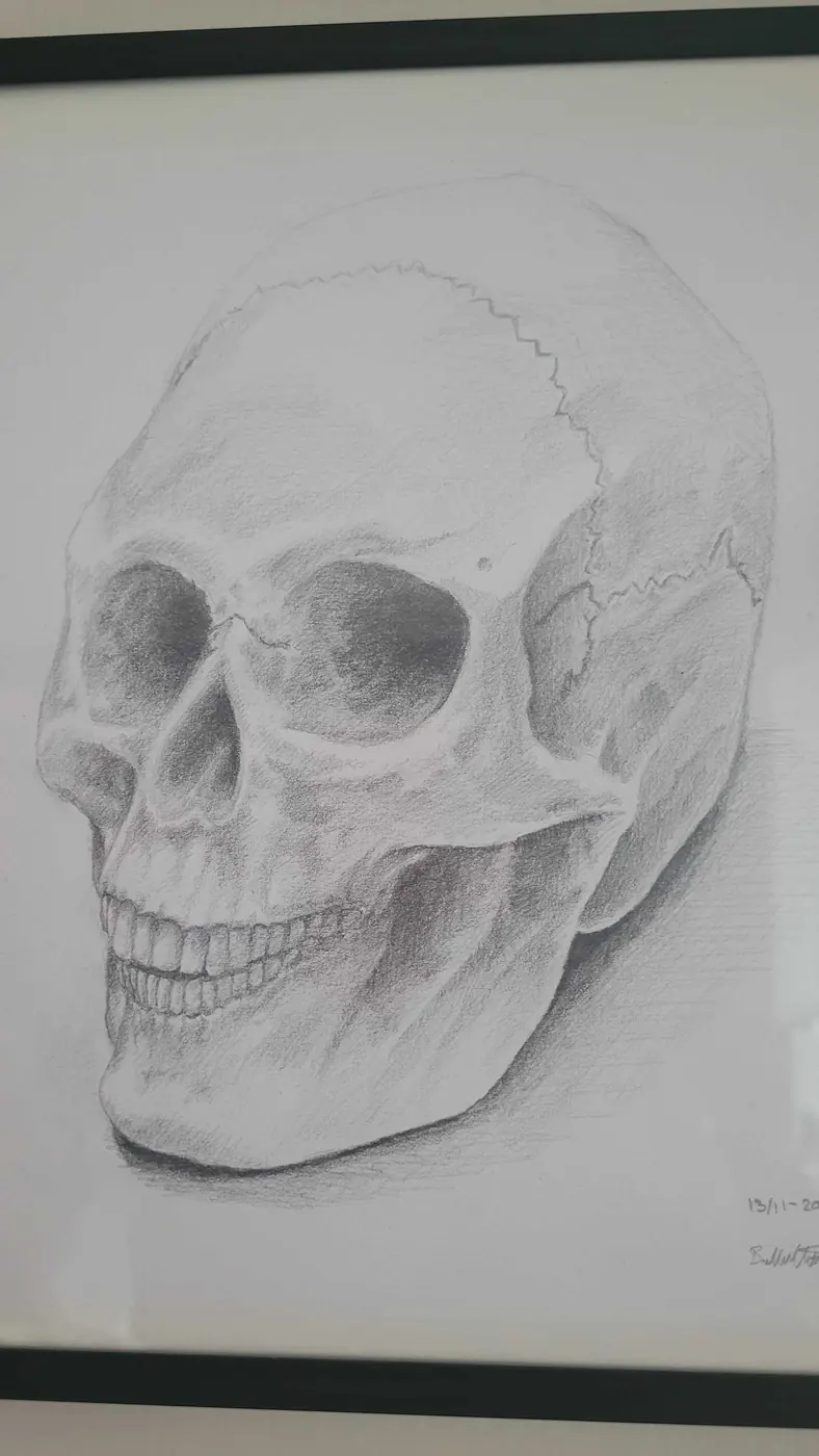 Cranium Study