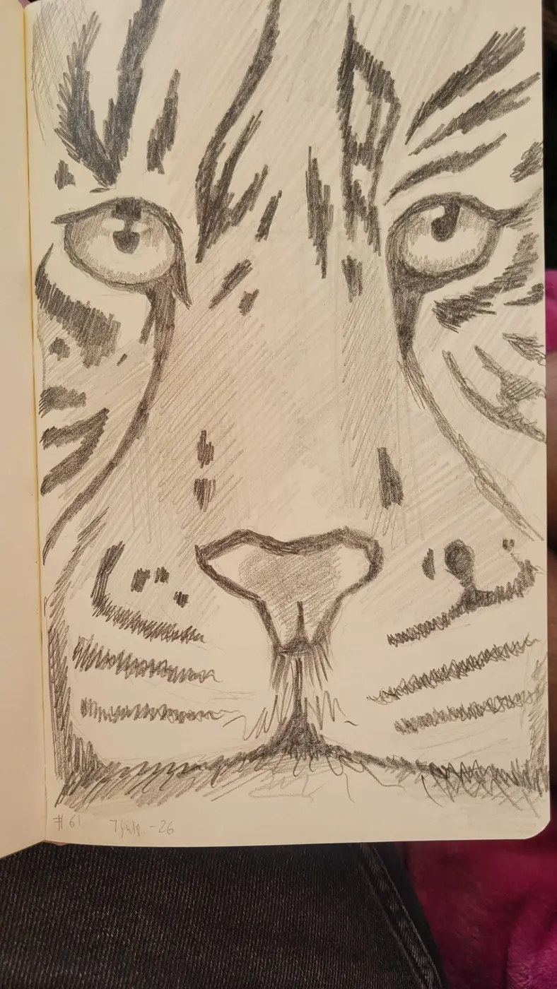 Tiger Face Sketch